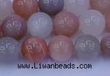 CMS623 15.5 inches 10mm round rainbow moonstone beads wholesale