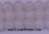 CMS642 15.5 inches 8mm round white moonstone beads wholesale