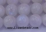 CMS644 15.5 inches 12mm round white moonstone beads wholesale