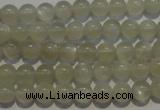 CMS651 15.5 inches 6mm round grey moonstone beads wholesale