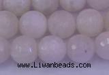 CMS663 15.5 inches 10mm faceted round white moonstone beads