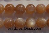 CMS734 15.5 inches 12mm round A grade natural peach moonstone beads