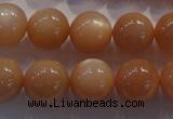 CMS735 15.5 inches 14mm round A grade natural peach moonstone beads