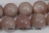 CMS759 15.5 inches 17mm round natural moonstone beads wholesale