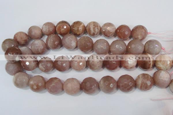 CMS770 15.5 inches 20mm faceted round natural moonstone beads