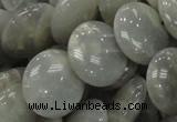 CMS79 15.5 inches 20mm flat round moonstone gemstone beads