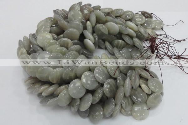 CMS79 15.5 inches 20mm flat round moonstone gemstone beads