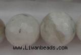 CMS805 15.5 inches 14mm faceted round white moonstone beads