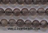 CMS858 15.5 inches 6mm round A grade natural black moonstone beads