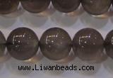 CMS860 15.5 inches 10mm round A grade natural black moonstone beads