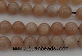 CMS930 15.5 inches 4mm round A grade moonstone gemstone beads