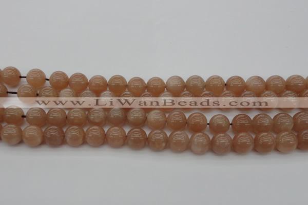 CMS932 15.5 inches 8mm round A grade moonstone gemstone beads