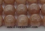 CMS934 15.5 inches 12mm round A grade moonstone gemstone beads