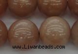 CMS936 15.5 inches 16mm round A grade moonstone gemstone beads