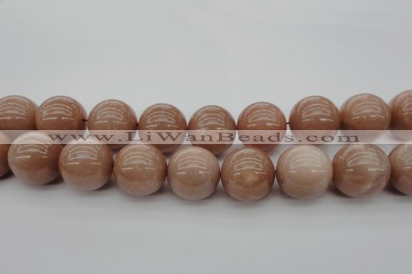 CMS938 15.5 inches 20mm round A grade moonstone gemstone beads