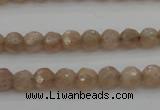 CMS940 15.5 inches 4mm faceted round A grade moonstone gemstone beads