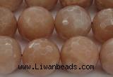 CMS945 15.5 inches 14mm faceted round A grade moonstone gemstone beads