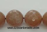 CMS946 15.5 inches 16mm faceted round A grade moonstone gemstone beads