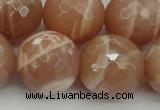 CMS947 15.5 inches 18mm faceted round A grade moonstone gemstone beads