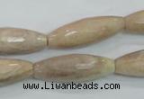 CMS95 15.5 inches 10*30mm faceted rice moonstone gemstone beads