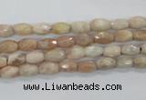 CMS99 15.5 inches 5*7mm faceted rice moonstone gemstone beads