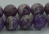 CNA1004 15.5 inches 12mm round dogtooth amethyst beads wholesale