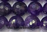 CNA993 15.5 inches 10mmm faceted round amethyst beads wholesale