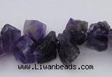 CNG1121 15.5 inches 8*12mm - 13*18mm nuggets amethyst beads