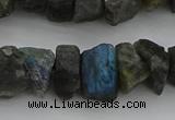 CNG1140 15.5 inches 8*12mm - 13*18mm nuggets labradorite beads