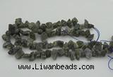 CNG1159 15.5 inches 8*12mm - 13*18mm nuggets labradorite beads