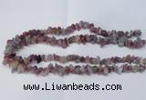 CNG2545 4*6mm – 6*10mm nuggets tourmaline beads wholesale