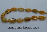 CNG2635 15.5 inches 18*28mm - 20*30mm freeform agate beads