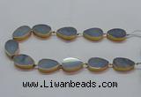 CNG2720 15.5 inches 18*28mm - 20*30mm freeform blue aventurine beads