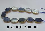 CNG2728 15.5 inches 18*28mm - 20*30mm freeform sodalite beads