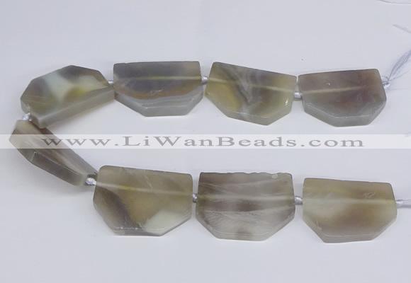 CNG2750 15.5 inches 30*45mm - 35*50mm freeform agate beads