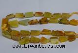 CNG2900 15.5 inches 12*16mm - 15*25mm freeform agate beads