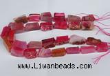 CNG2902 15.5 inches 12*16mm - 15*25mm freeform agate beads