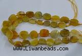 CNG2907 15.5 inches 12*16mm - 15*25mm freeform agate beads