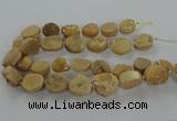 CNG3144 15.5 inches 12*16mm - 20*25mm freeform druzy agate beads