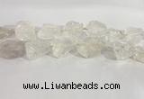 CNG3558 15.5 inches 18*20mm - 25*30mm nuggets rough white crystal beads