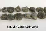 CNG3567 15.5 inches 18*20mm - 25*30mm nuggets rough labradorite beads