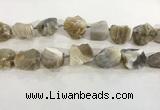 CNG3568 15.5 inches 18*20mm - 25*30mm nuggets rough agate beads