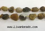 CNG3569 15.5 inches 18*20mm - 25*30mm nuggets rough agate beads