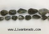 CNG3589 13*18mm - 15*30mm faceted nuggets labradorite beads