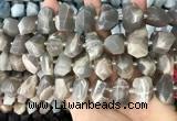 CNG3605 15.5 inches 13*20mm - 15*24mm faceted nuggets moonstone beads