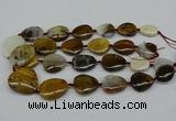 CNG5158 15.5 inches 16*22mm - 30*35mm freeform Mexican agate beads