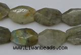 CNG5253 15.5 inches 13*18mm - 15*20mm faceted freeform labradorite beads