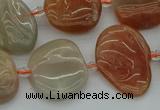 CNG5290 15.5 inches 13*18mm - 15*20mm freeform moonstone beads