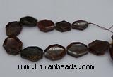 CNG5313 15.5 inches 20*30mm - 35*45mm freeform orange garnet beads