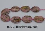 CNG5316 15.5 inches 25*35mm - 35*45mm freeform rhodonite beads